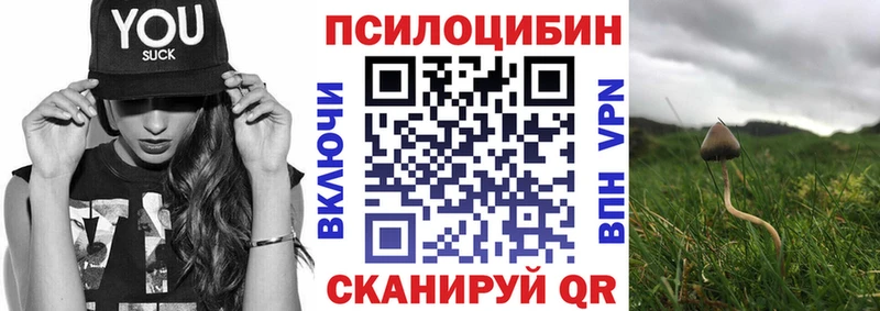 Купить где Кашира Галлюциногенные грибы Cubensis